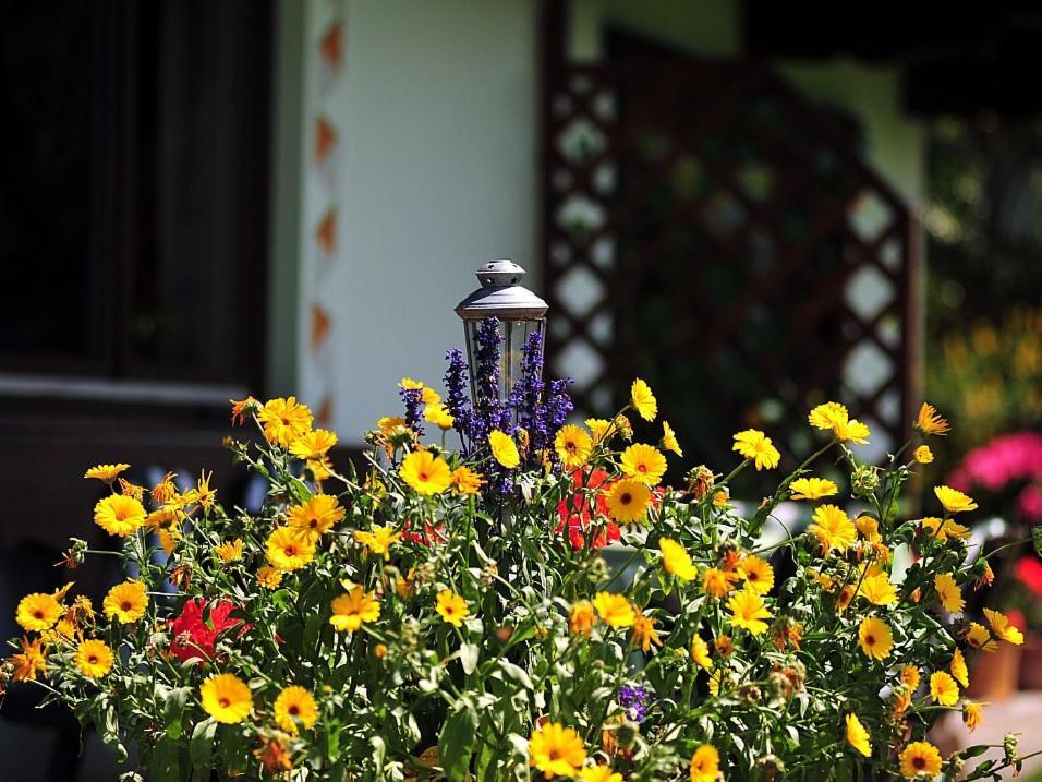 Haus Jochblick Familie Loinger Bed and Breakfast Itter Eksteriør billede
